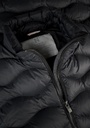 verm-l-black_51.jpg