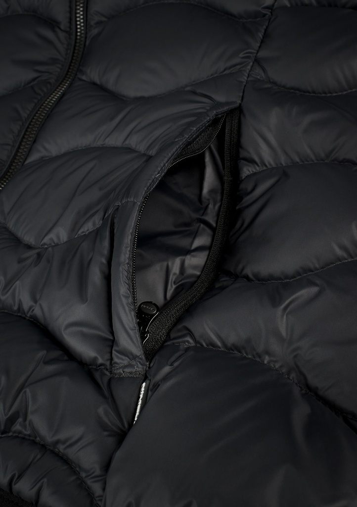 verm-l-black_53.jpg