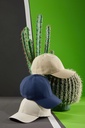 art\8484\detail_86830.jpg