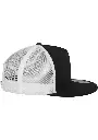 6006T_P5-black-white.webp