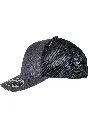 110PT_P4-00721.webp