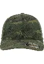 6977CA_P1-00778.webp