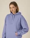 SFD1_STSU209_C134.jpg