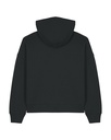 PBM0_STSW213_C002.jpg