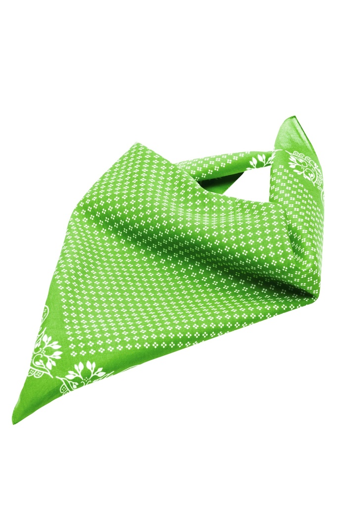 Daiber Traditional Bandana MB6400
